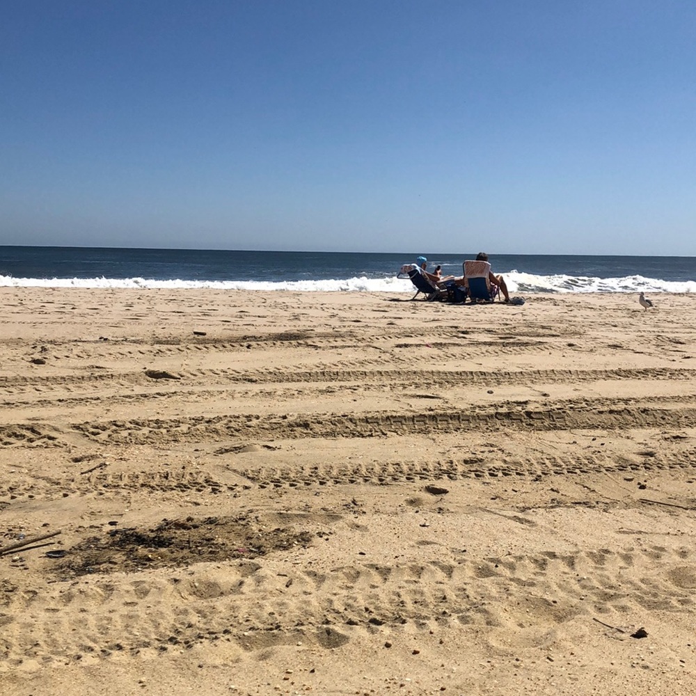 Meet your Posher, Arielle